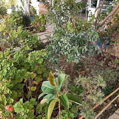 Apartment Homely In With Balcony Benitses (Corfu)