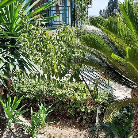 Apartment Homely In With Balcony Benitses (Corfu)